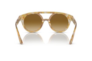 Giorgio Armani AR8163 Yellow Tortoise – Light gradient lencse