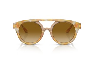 Giorgio Armani AR8163 Yellow Tortoise – Light gradient lencse