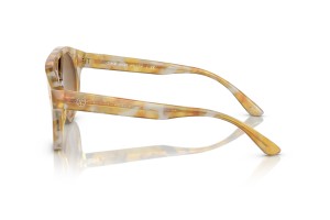 Giorgio Armani AR8163 Yellow Tortoise – Light gradient lencse