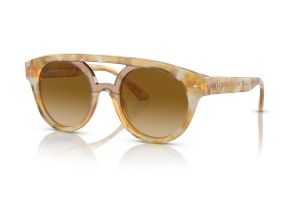 Giorgio Armani AR8163 Yellow Tortoise – Light gradient lencse