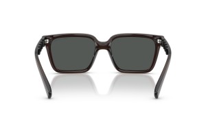 ARMANI EXCHANGE AX4147S Shiny Transparent Green napszemüveg