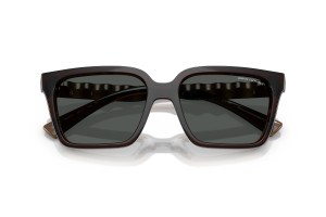 ARMANI EXCHANGE AX4147S Shiny Transparent Green napszemüveg