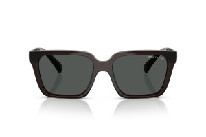 ARMANI EXCHANGE AX4147S Shiny Transparent Green napszemüveg
