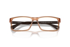 EMPORIO ARMANI EA3038 5044 Shiny Transparent Brown