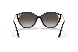 MICHAEL KORS MK2152U ALEXANDRIA Bio Black napszemüveg