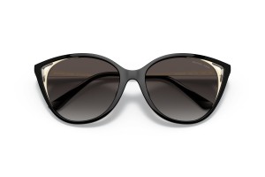 MICHAEL KORS MK2152U ALEXANDRIA Bio Black napszemüveg