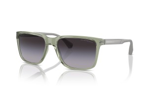 Emporio Armani EA4047 53628G - zöld/szürke napszemüveg