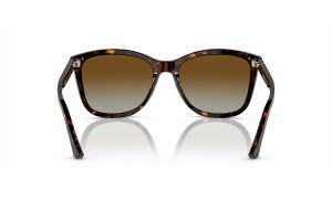 Emporio Armani EA4060 Shiny Havana napszemüveg
