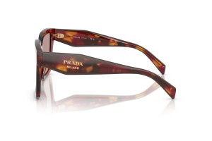 PRADA PR 24ZS Poppy Tortoise napszemüveg