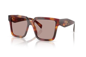 PRADA PR 24ZS Poppy Tortoise napszemüveg