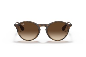 Ray-Ban RB4243 865/13 Havana Brown napszemüveg