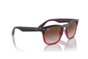 RAY-BAN RB4487 STEVE - Szürke lencse, átlátszó piros keret