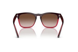 RAY-BAN RB4487 STEVE - Szürke lencse, átlátszó piros keret
