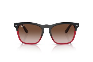 RAY-BAN RB4487 STEVE - Szürke lencse, átlátszó piros keret