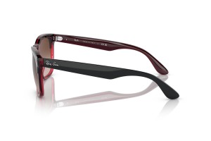 RAY-BAN RB4487 STEVE - Szürke lencse, átlátszó piros keret