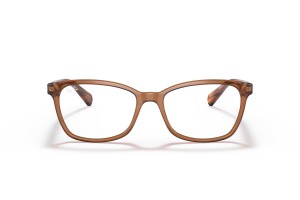 Ray-Ban RX5362 8179 Transparent Brown szemüveg