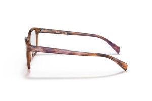 Ray-Ban RX5362 8179 Transparent Brown szemüveg