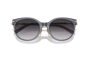 TIFFANY TF4223D 84053C Crystal – sötét ibolya-szürke napszemüveg