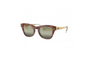 Ray-Ban RB0707SM 954/G4...