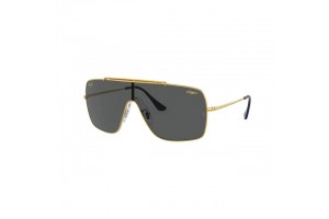 Ray-Ban RB3697 924687 WINGS...