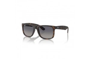 Ray-Ban RB4165 865/8S...