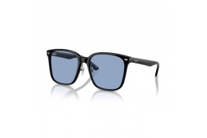 Ray-Ban RB2206D 901/72...