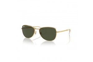 Ray-Ban RB3733 001/31 GOLD...
