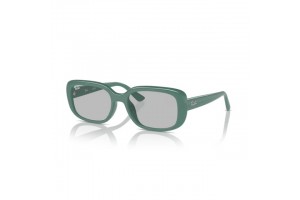 Ray-Ban RB4421D 676287...