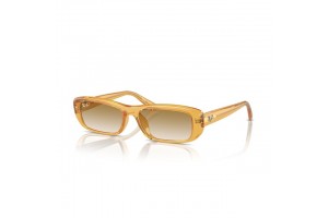 Ray-Ban RB4436D 668213...