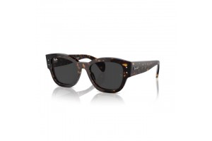 Ray-Ban RB7681S 902/48...