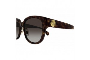 Gucci GG1409SK 002 Dark Havana napszemüveg