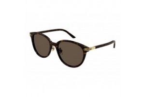 Gucci GG1452SK 002 Dark Havana napszemüveg