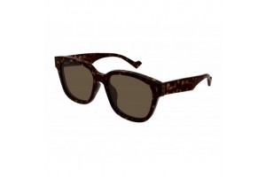 Gucci GG1430SK 002 DARK HAVANA BROWN napszemüveg