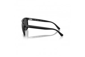 Ray-Ban RB2213CH 901/K8 fekete polarizált