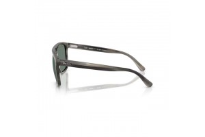 Ray-Ban RB2213CH HAVANA Grey Polarizált Chromance