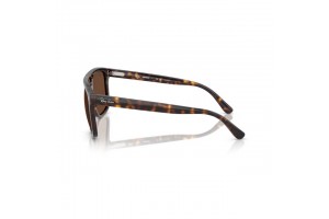 Ray-Ban RB2213CH 902/AN Havana — polarizált barna
