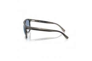 Ray-Ban RB2213 Grey Havana - Clear Gradient kék lencse