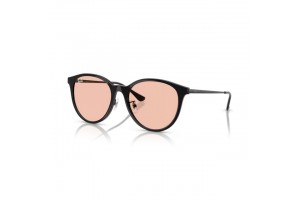 Ray-Ban RB4334D BLACK LIGHT PINK — FW24