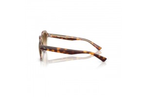 Ray-Ban RB4399 GINA Light Havana — multicolor lencse