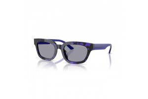 EMPORIO ARMANI EA4233U 618380 Havana Violet Blue napszemüveg