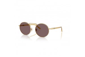 PERSOL PO1019S 112953 Gold Violet napszemüveg