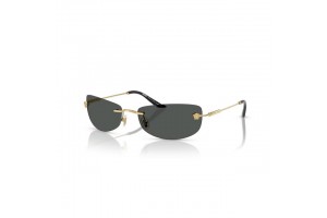 Versace VE2279 100287 GOLD DARK GREY napszemüveg