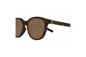 Gucci GG1674SK 002 Havana Brown napszemüveg