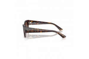 Ray-Ban RB4430 ZENA Havana gradient barna napszemüveg
