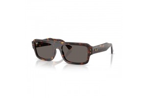 Ray-Ban RB4454 Flacko Havana Dark Grey