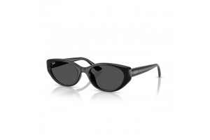 Ray-Ban RB4457D 667787 fekete sötét szürke