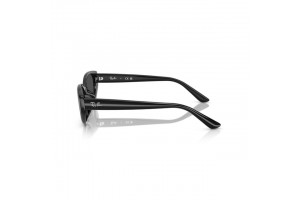 Ray-Ban RB4457D 667787 fekete sötét szürke