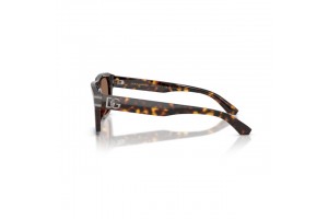 Dolce & Gabbana DG4496 HAVANA Dark Brown