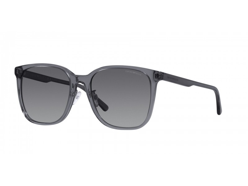 Emporio Armani EA4206D 5029T3 Shiny Transparent Grey
