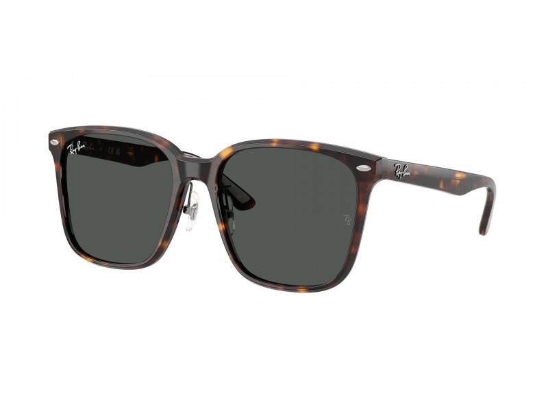 Ray-Ban RB2206D 710/87 Havana Dark Grey napszemüveg